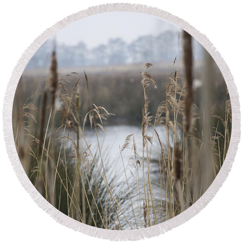 Reeds Round Beach Towel featuring the photograph Looking through the Reeds by Spikey Mouse Photography