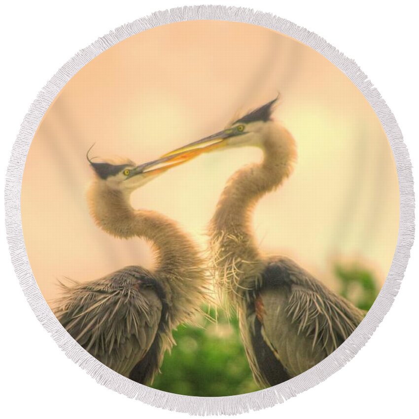Blue Herons Round Beach Towel featuring the photograph Lovebirds by Dennis Baswell