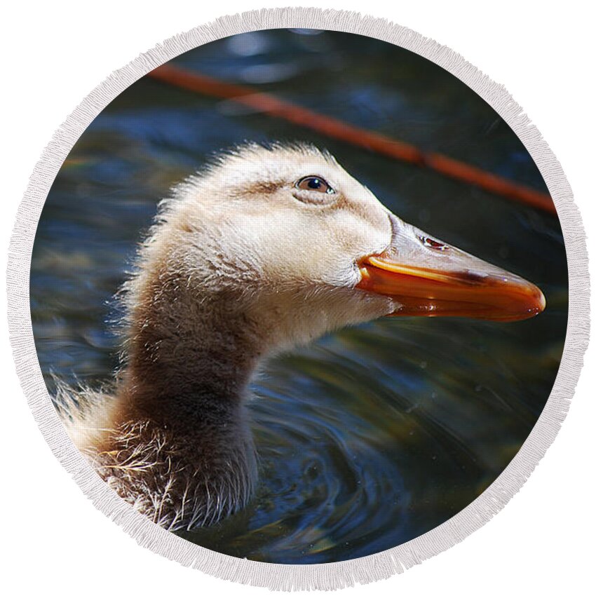 Becky Furgason Round Beach Towel featuring the photograph #loveduck by Becky Furgason