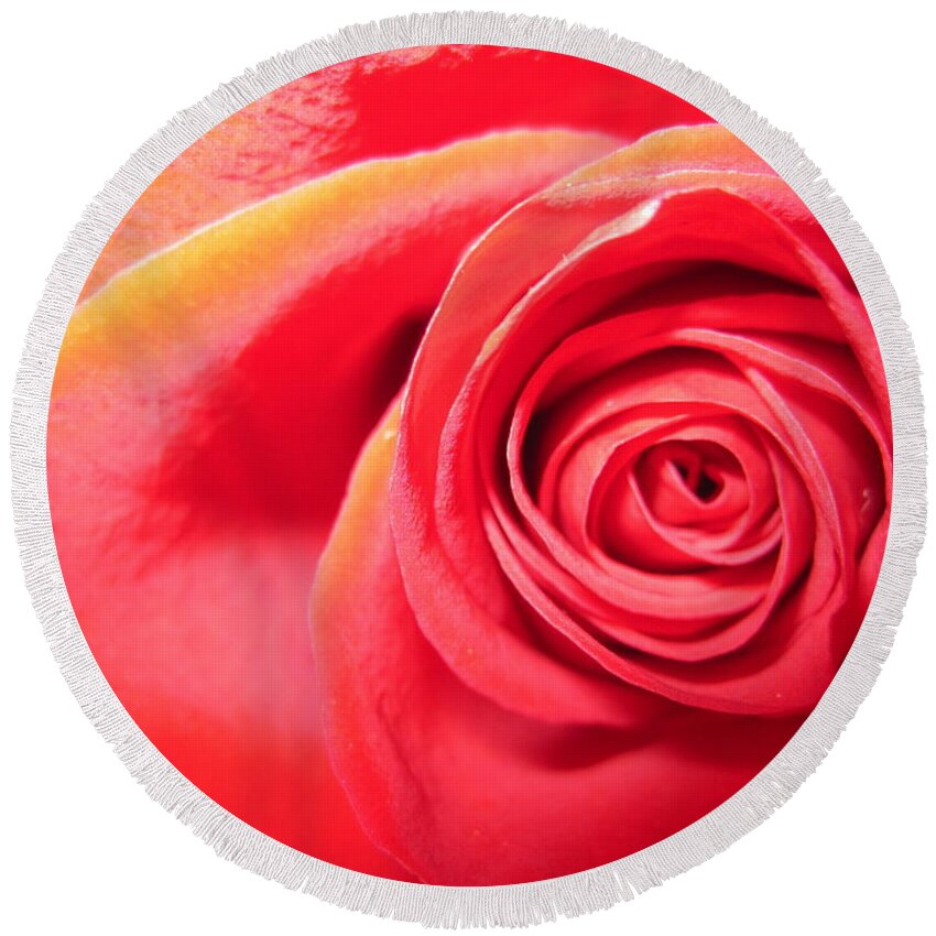 Floral Round Beach Towel featuring the photograph Luminous Red Rose 1 by Tara Shalton