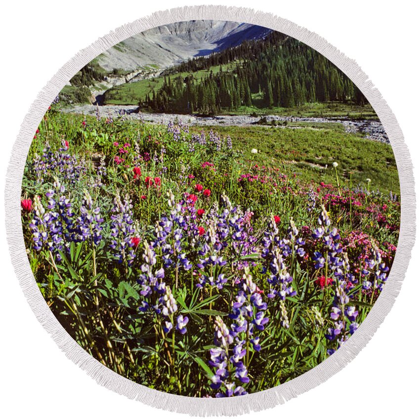 Alpine Round Beach Towel featuring the photograph Lupine and Paintbrush Blooming at Indian Bar by Jeff Goulden