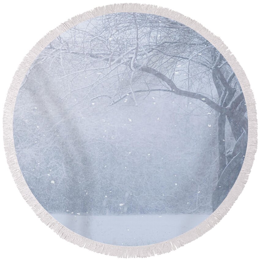 Snow Round Beach Towel featuring the photograph Magic Of The Season by Carrie Ann Grippo-Pike
