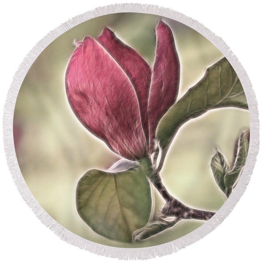 Magnolia Round Beach Towel featuring the photograph Magnolia Glow by Susan Candelario