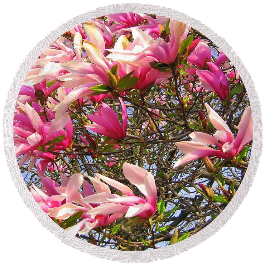 Magnolia Flower Round Beach Towel featuring the photograph Blooming Pink Magnolias #1 by Dora Sofia Caputo