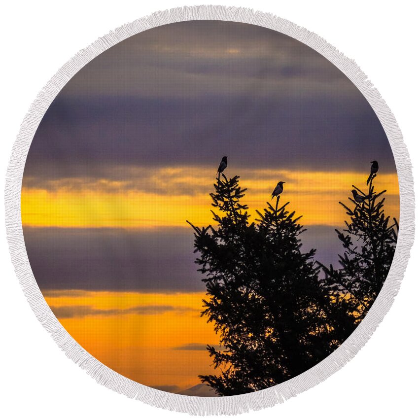 Magpies Round Beach Towel featuring the photograph Magpies at Sunrise by James Truett