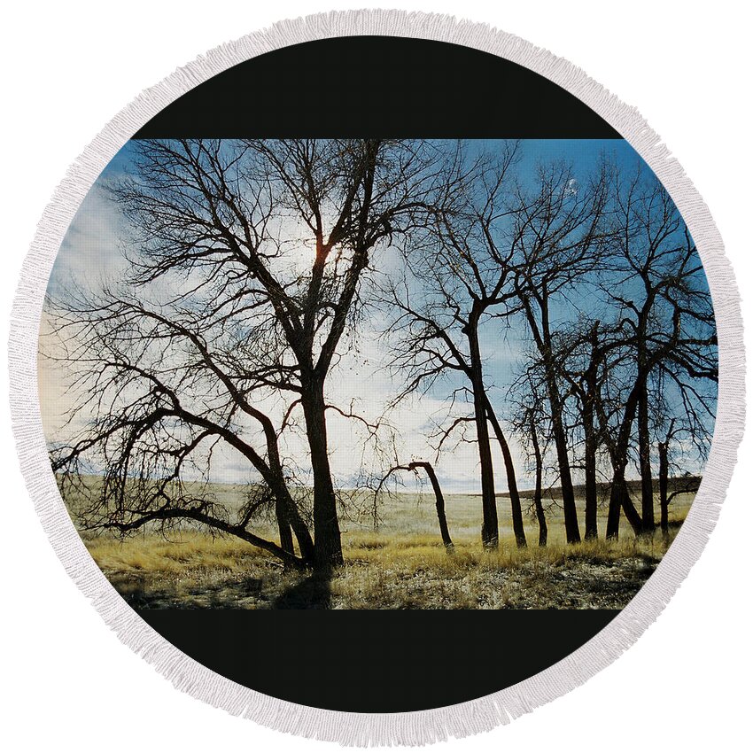 Trees Round Beach Towel featuring the photograph Make a Stand by Ric Bascobert