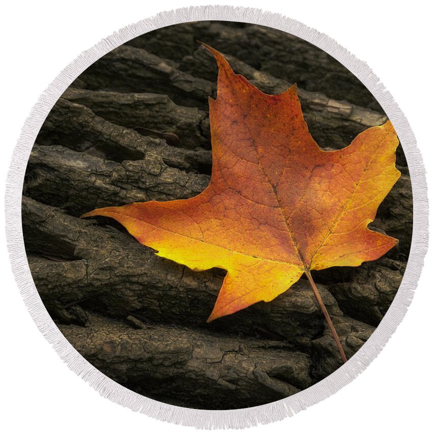 Maple Round Beach Towel featuring the photograph Maple Leaf by Scott Norris