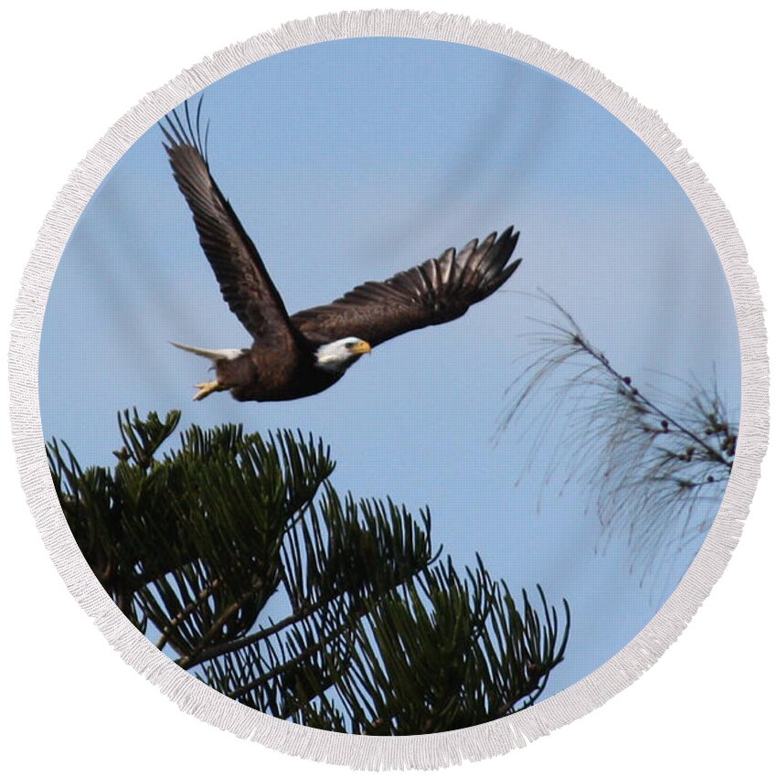 Marco Round Beach Towel featuring the photograph Marco Eagles - Paleo Calusa by Ronald Reid