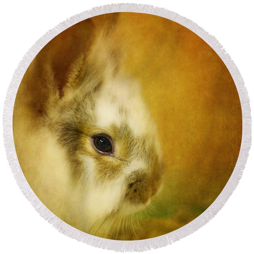 Rabbit Round Beach Towel featuring the photograph Memories of Watership Down by Lois Bryan