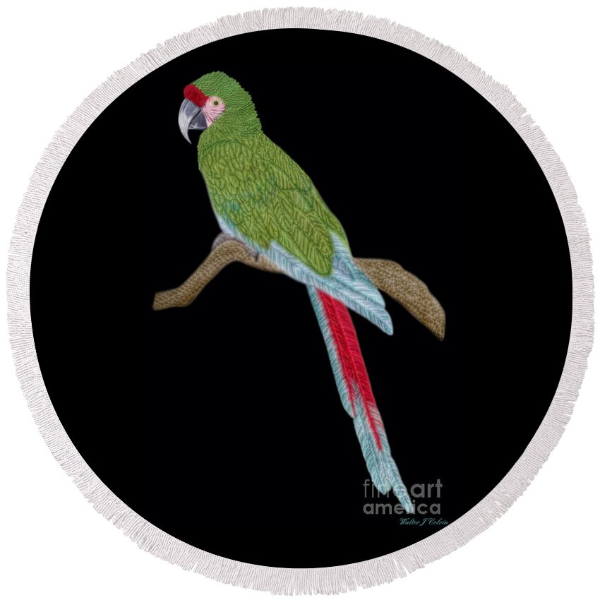 Military Macaw Round Beach Towel featuring the digital art Military Macaw by Walter Colvin