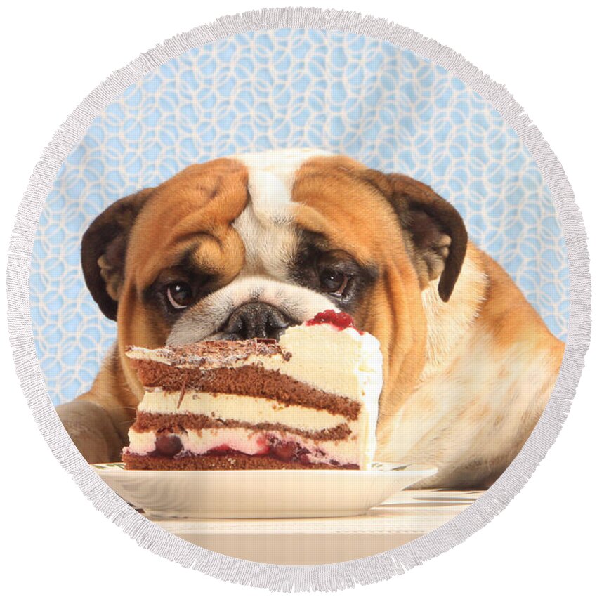 English Bulldog Round Beach Towel featuring the photograph Mmm, Cake by Christine Steimer