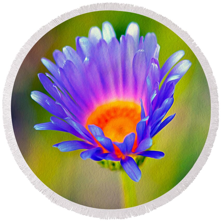 Pollen Round Beach Towel featuring the photograph Mojave Aster by Joe Schofield