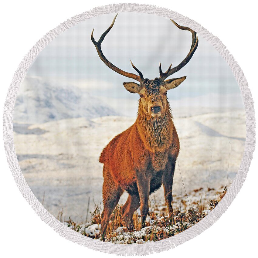 Landscape Round Beach Towel featuring the digital art Monarch of the Glen by Pat Speirs