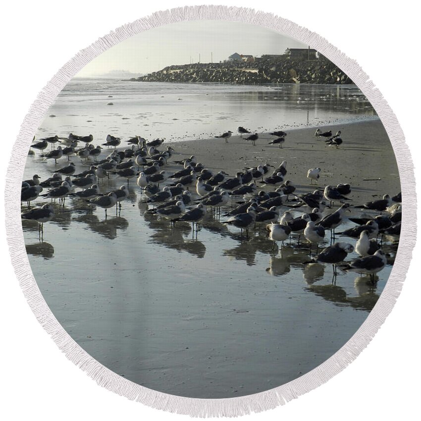 Seashore Round Beach Towel featuring the photograph Morning Gulls by Deborah Ferree