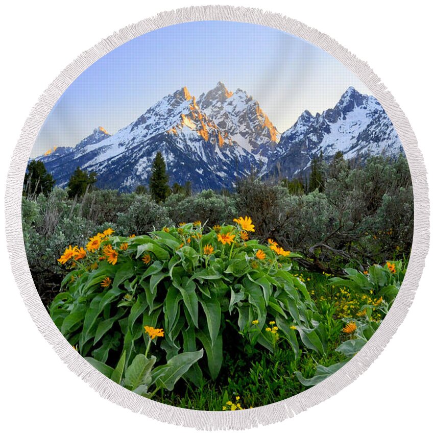 Grand Teton National Park Round Beach Towel featuring the photograph Morning in Teton by Deby Dixon