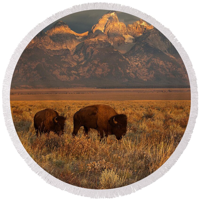 Grand Teton Round Beach Towel featuring the photograph Morning Travels in Grand Teton by Sandra Bronstein