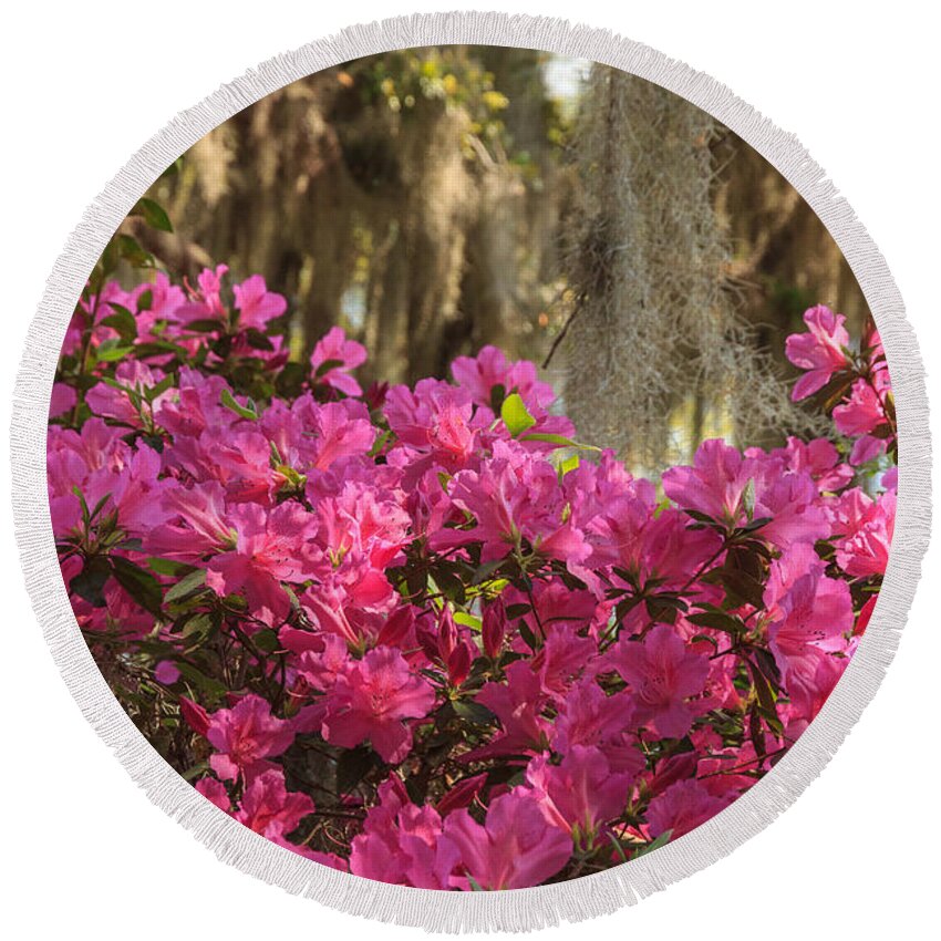 Flower Round Beach Towel featuring the photograph Moss Over Azaleas by Patricia Schaefer