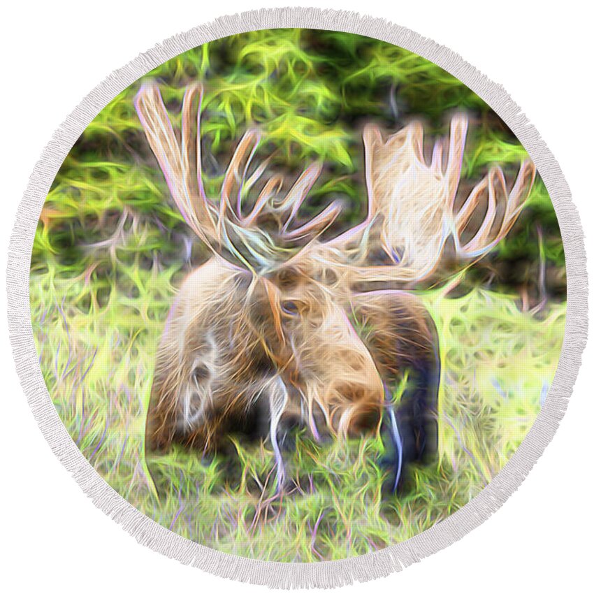 North America Moose Round Beach Towel featuring the photograph Moose Glow by James BO Insogna