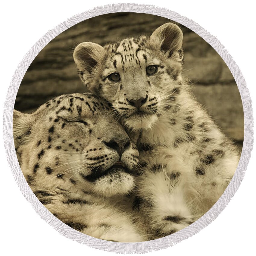 Marwell Round Beach Towel featuring the photograph Mother's Love by Chris Boulton