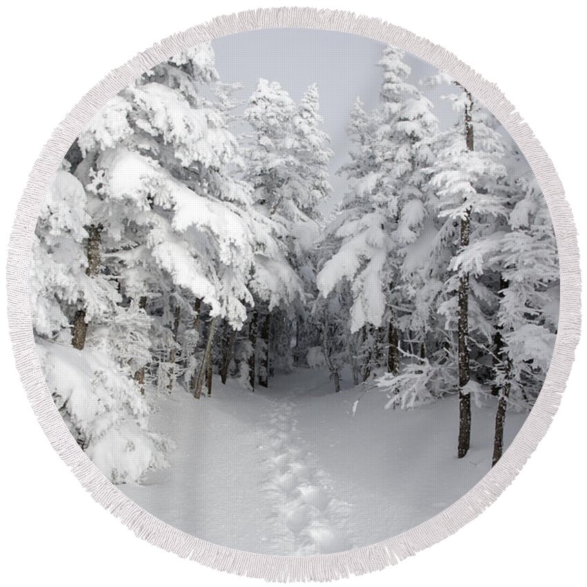 Wilderness Round Beach Towel featuring the photograph Mount Osceola Trail - White Mountains New Hampshire by Erin Paul Donovan
