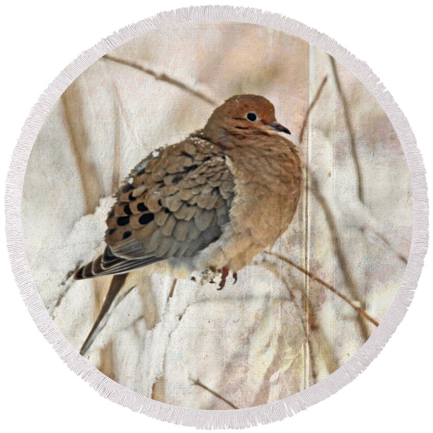 zenaidura Macroura Round Beach Towel featuring the photograph Mourning Dove - Sing No Sad Song for Me #1 by Carol Senske