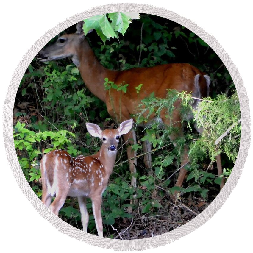 Deer Round Beach Towel featuring the photograph My Baby by Deena Stoddard