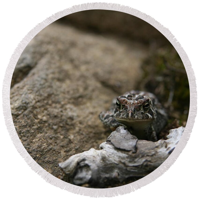 Nature's Expressions Round Beach Towel featuring the photograph Natural Expression of a Fowler Toad by Neal Eslinger