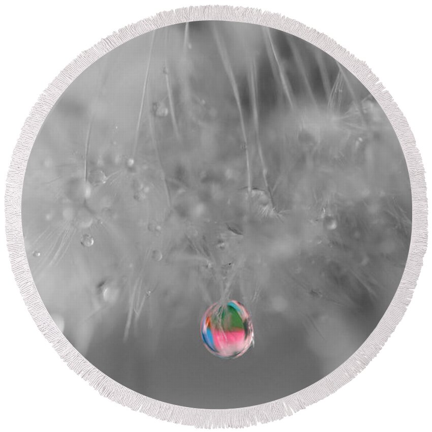 Dew Drop Round Beach Towel featuring the photograph Nature's Crystal Ball by Marianna Mills
