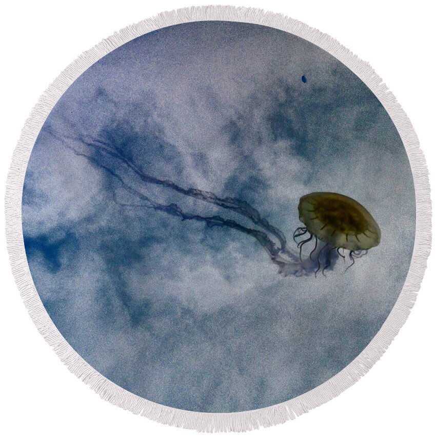 Stinging Nettlefish Round Beach Towel featuring the photograph Nettlesphere by Dorian Hill