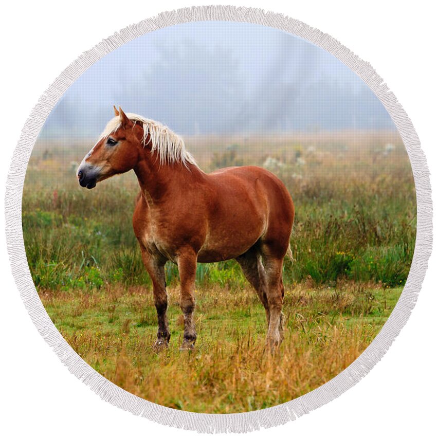 Horse Round Beach Towel featuring the photograph New Brunswick Horse by Ben Graham