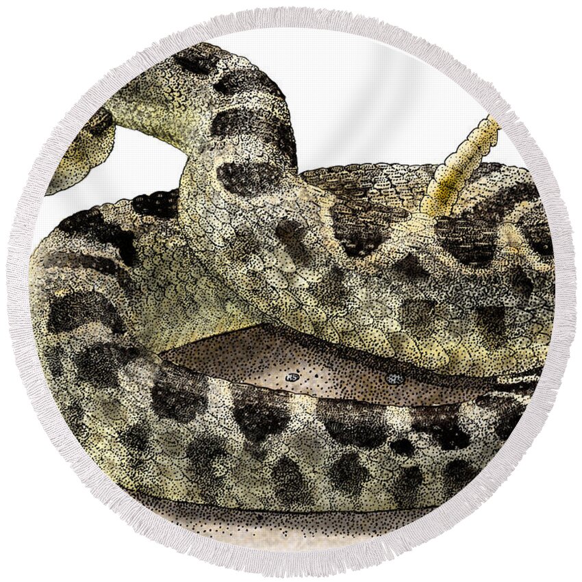 Animal Round Beach Towel featuring the photograph Northern Pacific Rattlesnake by Roger Hall