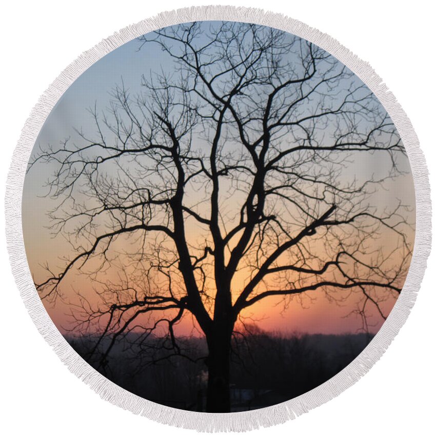 Sunrise Round Beach Towel featuring the photograph November Walnut Tree at Sunrise by Conni Schaftenaar