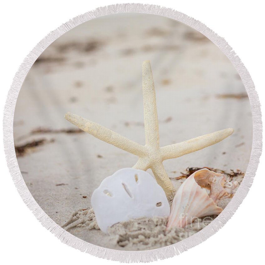 Shells Round Beach Towel featuring the photograph Shells and Ocean Breeze by JBK Photo Art