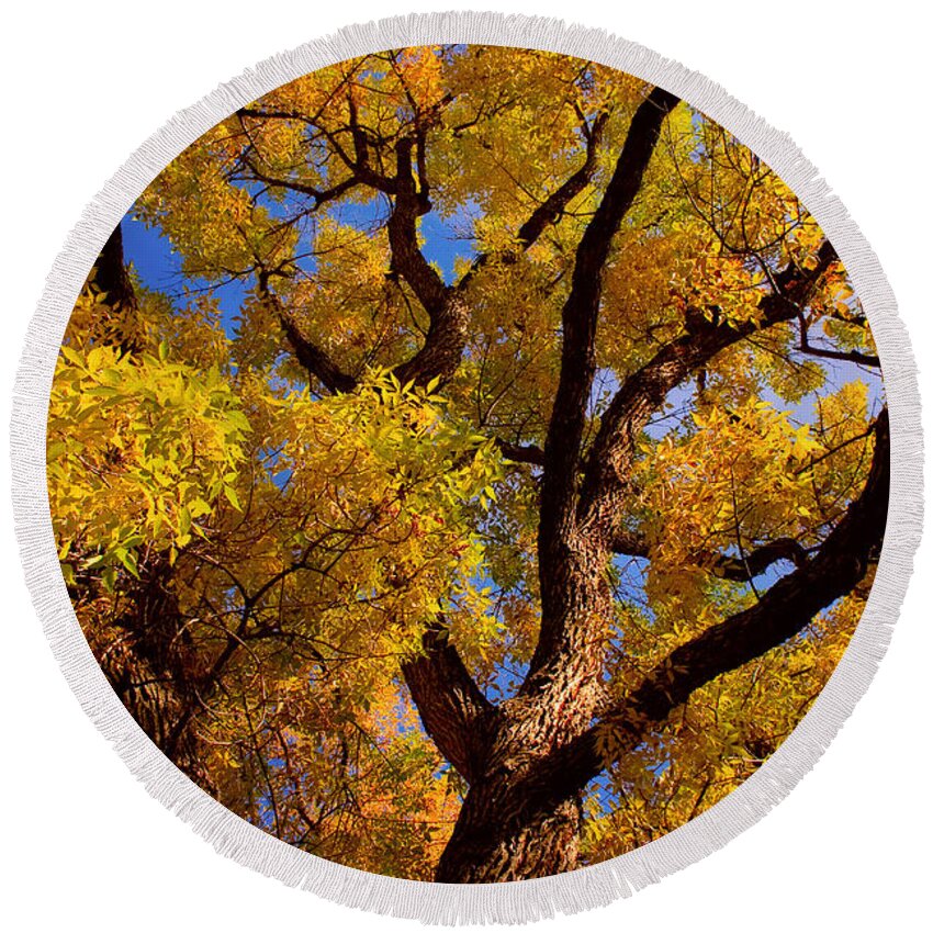 Cottonwood Round Beach Towel featuring the photograph October by James BO Insogna