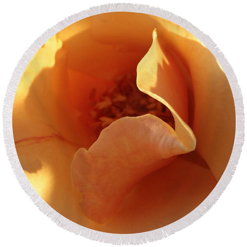 Connie Handscomb Round Beach Towel featuring the photograph October's Rose by Connie Handscomb