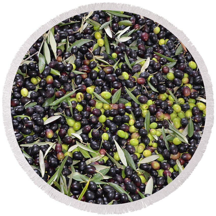 Olive Round Beach Towel featuring the photograph Olives harvest by Dany Lison