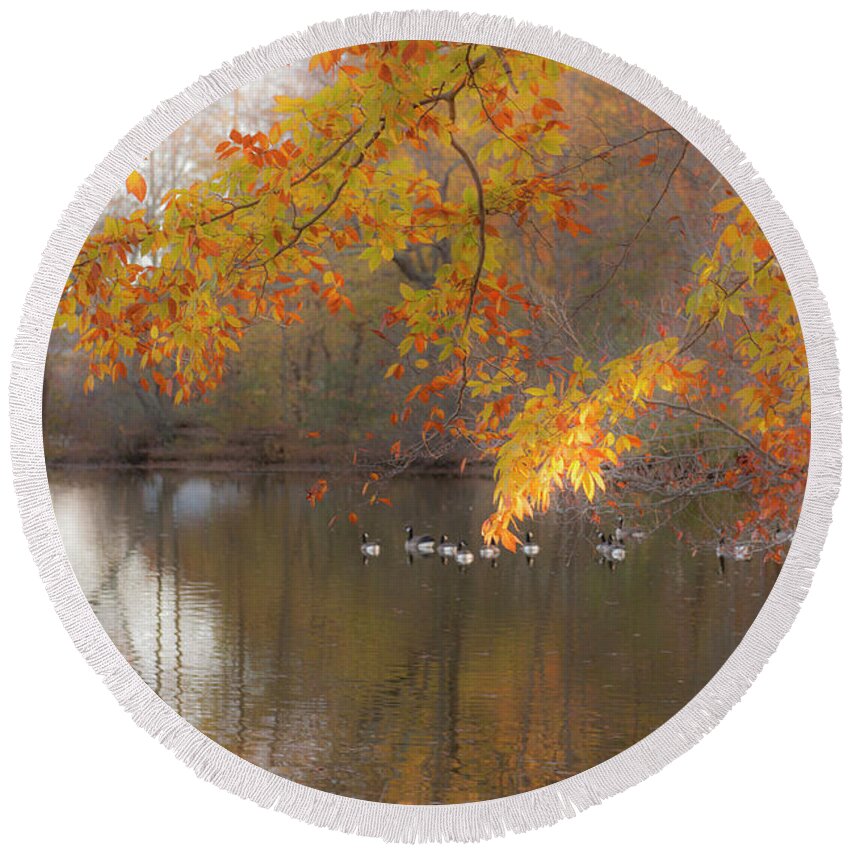 Pond Round Beach Towel featuring the photograph Peavefull Pond Reflections by Dale Powell