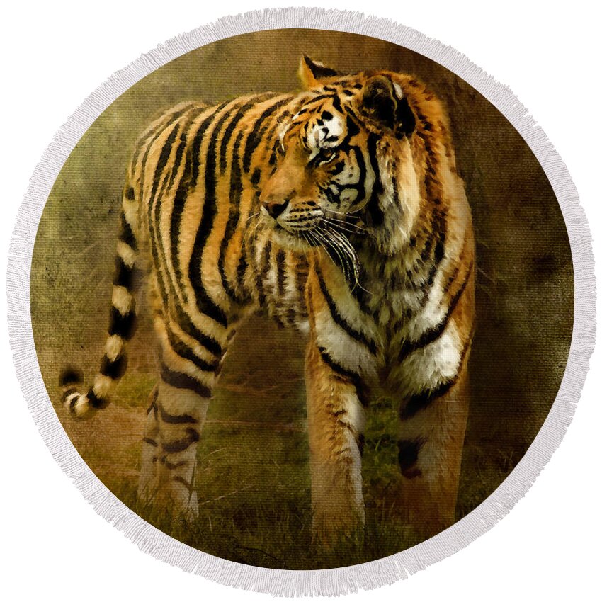 Bengal Tiger Round Beach Towel featuring the photograph On The Hunt by Betty LaRue