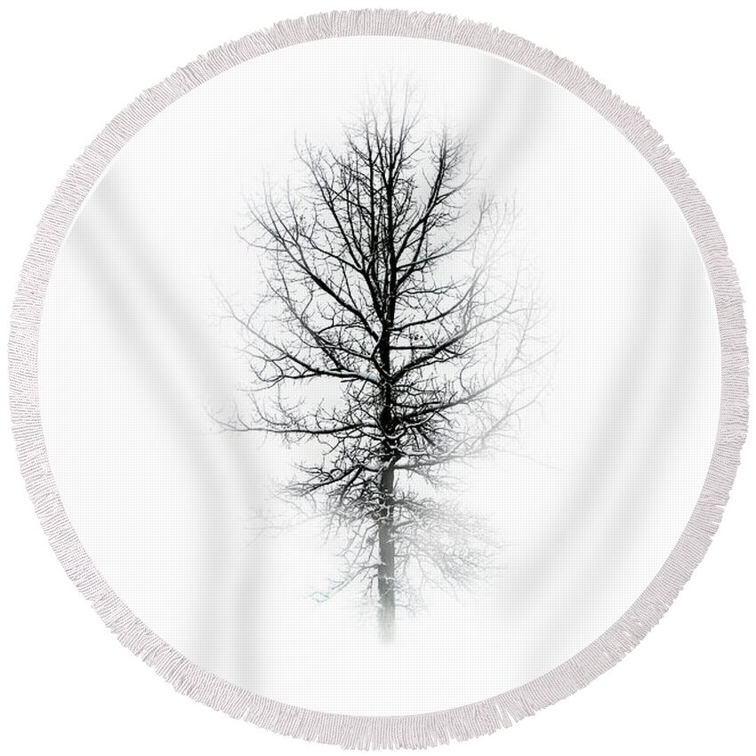 Tree Round Beach Towel featuring the photograph One Tree by Debbie Nobile