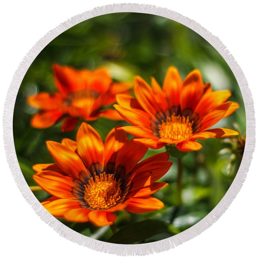 Florida Round Beach Towel featuring the photograph Orange flowers by Jane Luxton