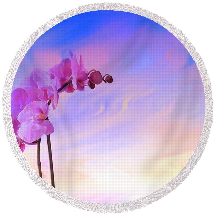 Orchid Round Beach Towel featuring the photograph Orchid in blue by Ricardo Dominguez