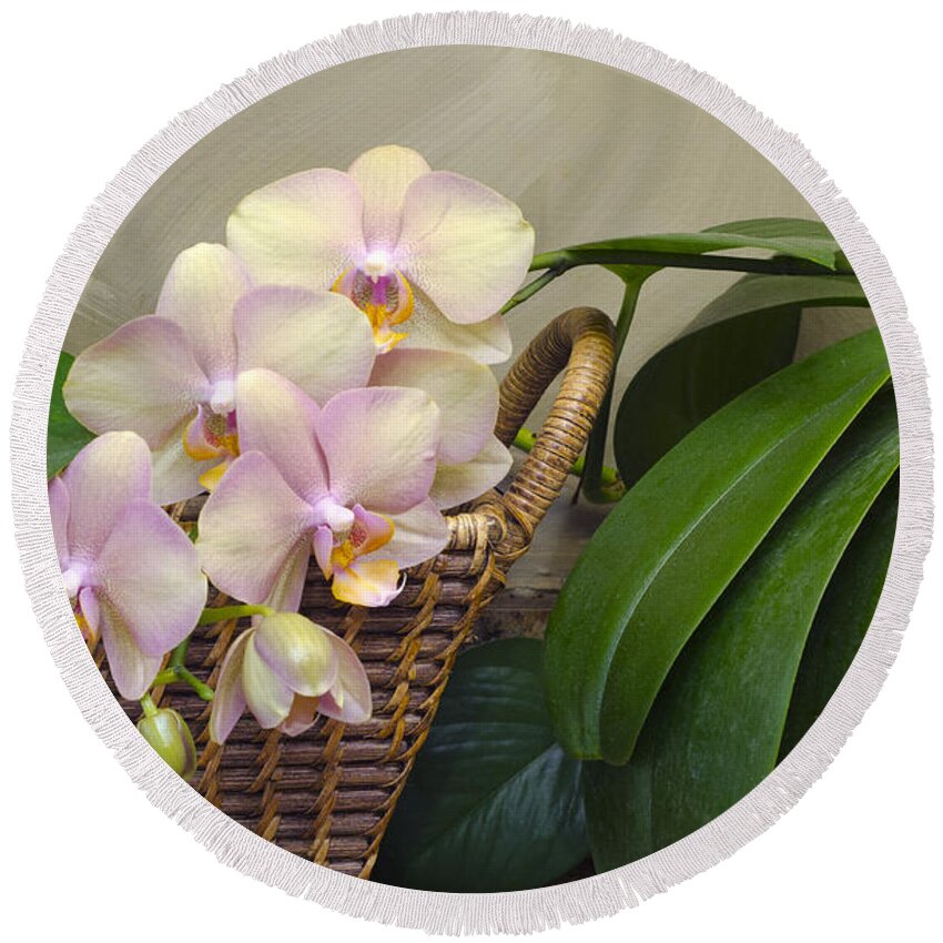 Orchid Round Beach Towel featuring the photograph Orchid in Our Kitchen by Lynn Hansen