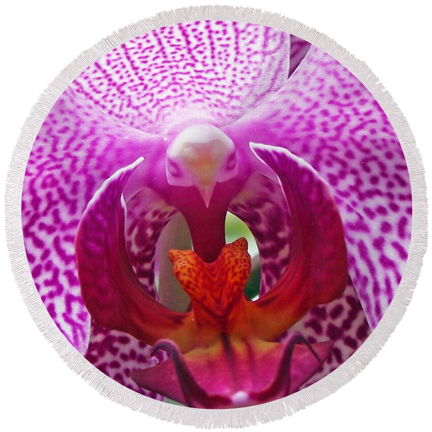 Plants Round Beach Towel featuring the photograph Orchid Upclose by Duane McCullough