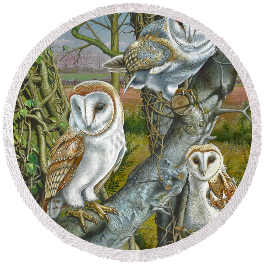 Owl Round Beach Towel featuring the photograph Owl Gathering by MGL Meiklejohn Graphics Licensing