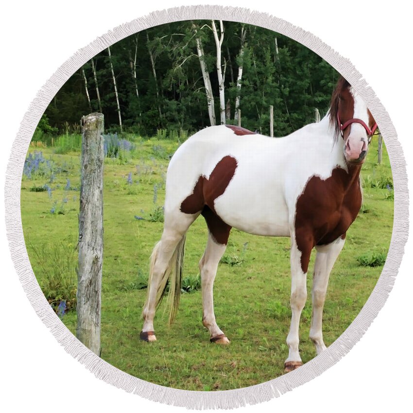 Pony Round Beach Towel featuring the photograph Painted Pony by Barbara McMahon