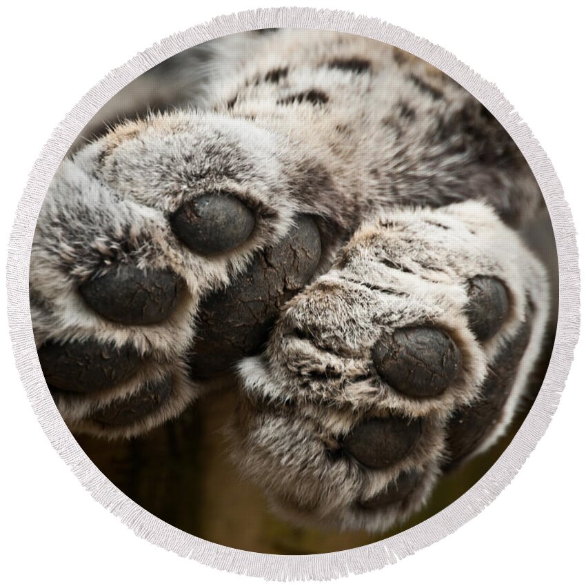 Marwell Round Beach Towel featuring the photograph Pair of Paws by Chris Boulton