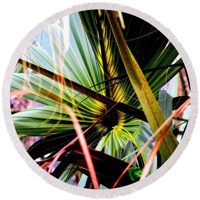 Nature Round Beach Towel featuring the photograph Palm Through The Fronds by Tamara Michael