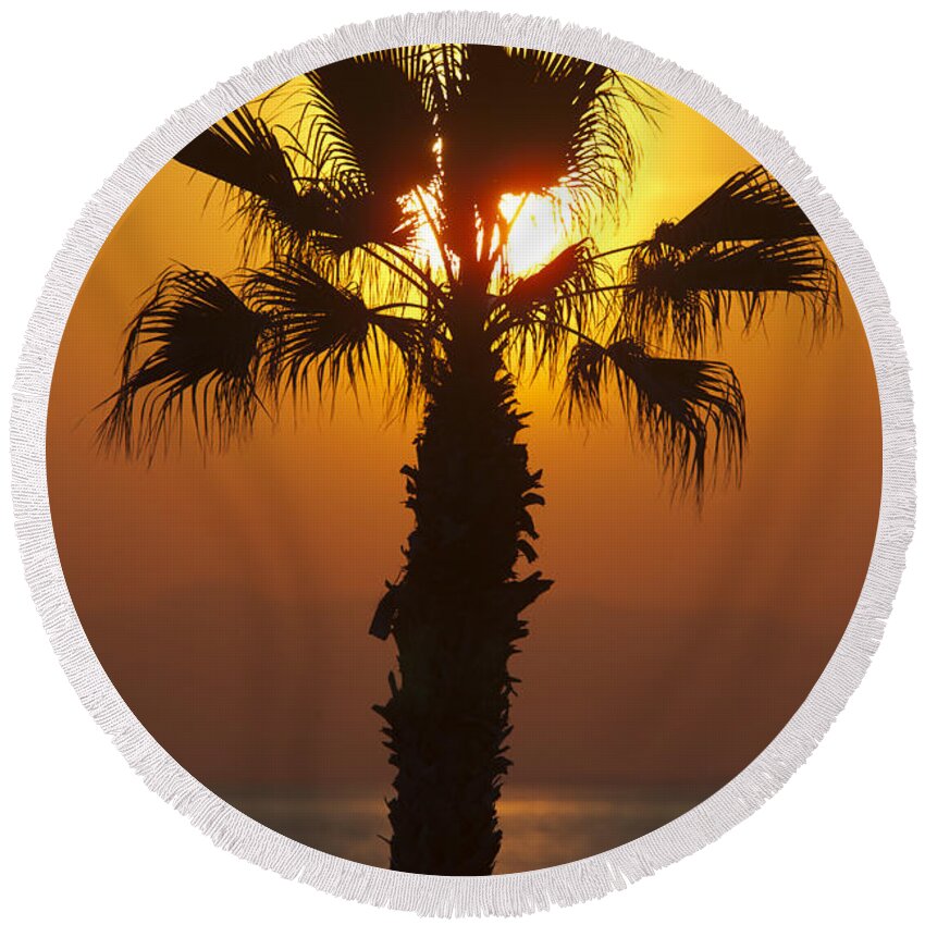 Digital Print Round Beach Towel featuring the photograph Palm tree at sunset by Tony Mills