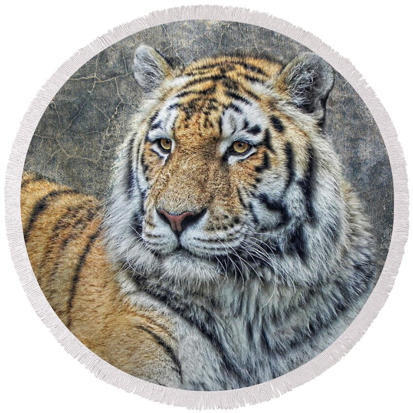 Animal Round Beach Towel featuring the photograph Panthera Tigris by Joachim G Pinkawa