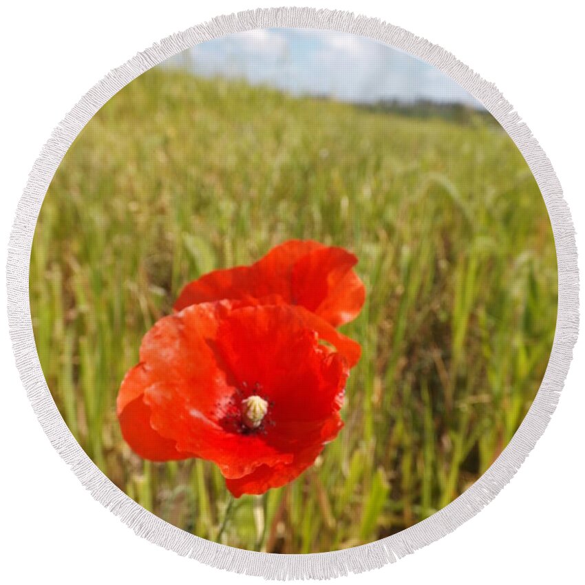 Red Round Beach Towel featuring the photograph Papa's Red Poppy by Caryl J Bohn
